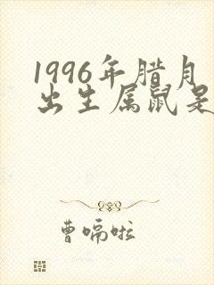 1996年腊月出生属鼠是什么命