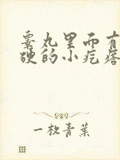 睾丸里面有个硬硬的小疙瘩好几年了