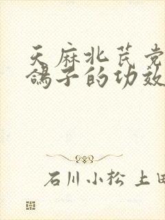 天麻北芪党参炖鸽子的功效