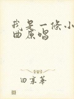 我是一条小河词曲原唱