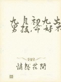 九月初九出生的男孩,命好不好,有事业吗