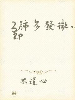 2肺多发微小结节