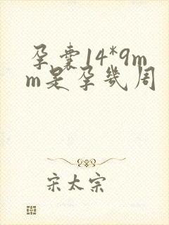 孕囊14*9mm是孕几周