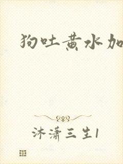 狗吐黄水加泡沫