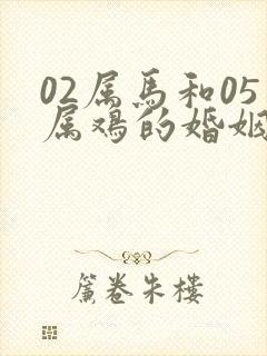 02属马和05属鸡的婚姻如何