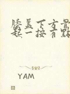 膝盖下方骨头凸起一按有点疼