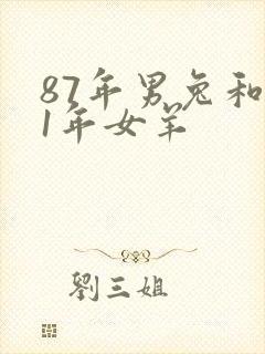 87年男兔和91年女羊