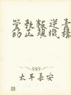 管教叛逆青少年的正规机构