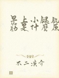 早上小腿肌肉抽筋是什么原因引起的