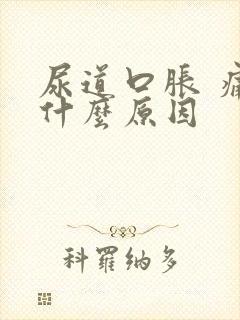 尿道口胀 痛是什么原因