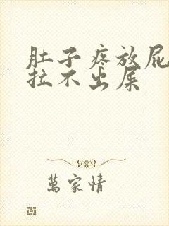 肚子疼放屁但是拉不出屎封面