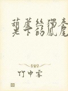 葫芦丝独奏曲月光下的凤尾竹