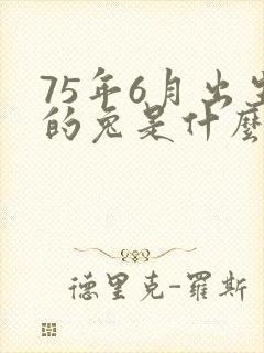 75年6月出生的兔是什么命