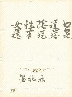 女性阴道口痒痒还有疙瘩是怎么回事