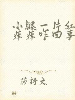 小腿一片红点点痒痒咋回事