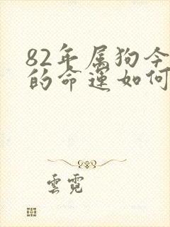 82年属狗今年的命运如何