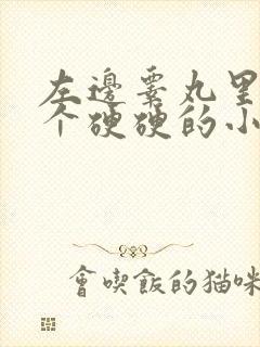 左边睾丸里面有个硬硬的小疙瘩封面