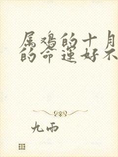 属鸡的十月出生的命运好不好