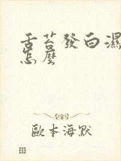 舌苔发白湿气重怎么