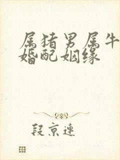 属猪男属牛女的婚配姻缘