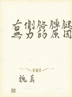 右侧胳膊腿酸软无力的原因