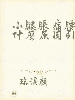 小腿胀痛腰酸痛什么原因引起的