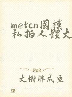 metcn国模私拍人体大尺度