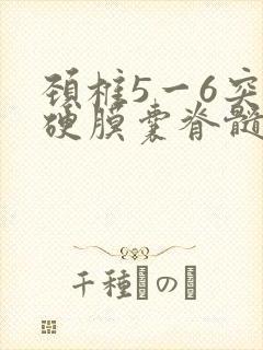 颈椎5一6突出硬膜囊脊髓受压