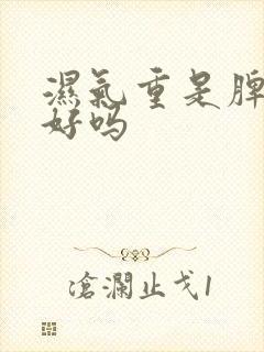 湿气重是脾胃不好吗