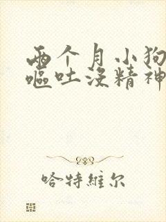 两个月小狗拉稀呕吐没精神怎么办