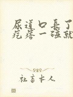 尿道口长了个肉疙瘩一碰就疼