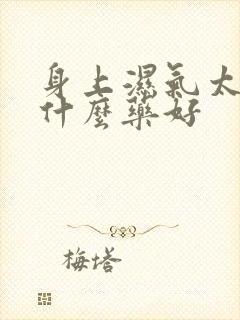 身上湿气太重吃什么药好封面