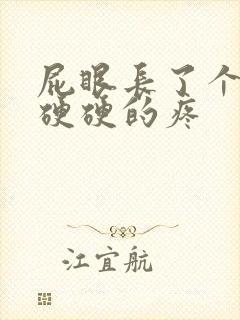 屁眼长了个肉球硬硬的疼封面