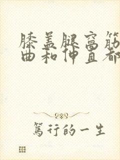 膝盖腿窝筋疼弯曲和伸直都疼