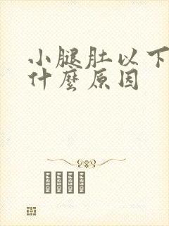 小腿肚以下痒是什么原因封面