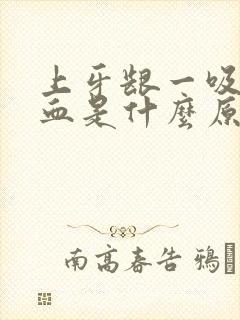 上牙龈一吸就出血是什么原因