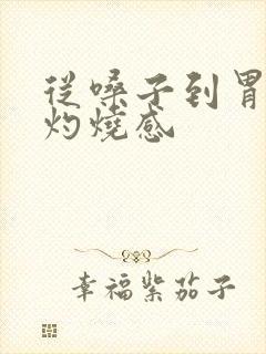 从嗓子到胃部有灼烧感