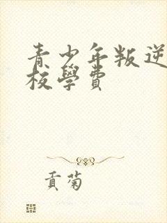 青少年叛逆期学校学费