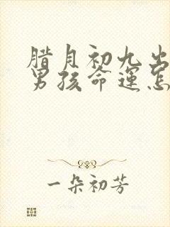 腊月初九出生的男孩命运怎么样封面