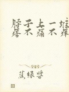 脖子上一堆小疙瘩不痛不痒封面