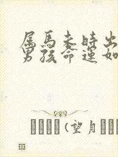 属马未时出生的男孩命运如何