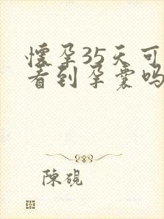 怀孕35天可以看到孕囊吗
