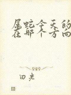 属蛇今天的财运在哪个方向