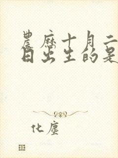 农历十月二十七日出生的是什么命