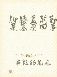 脚膝盖关节肿疼是怎么回事