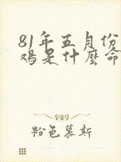 81年五月份的鸡是什么命封面