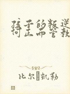 孩子的叛逆期如何正面管教