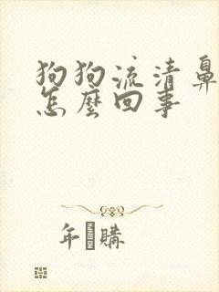 狗狗流清鼻涕是怎么回事