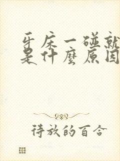 牙床一碰就出血是什么原因