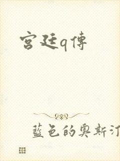 宫廷q传封面